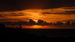 Sunrise at Mac Nicols this weekend. Photo credit Andy Luke