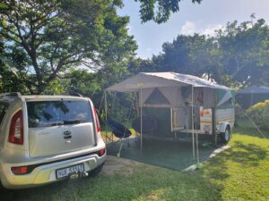 Camping with the "Bear Necessities"