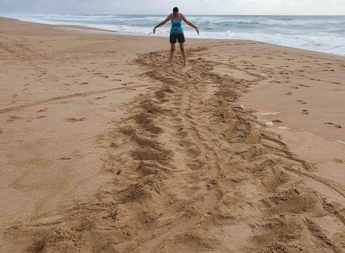 Person standing on beach with arms wide, turtle tracks on foreground.